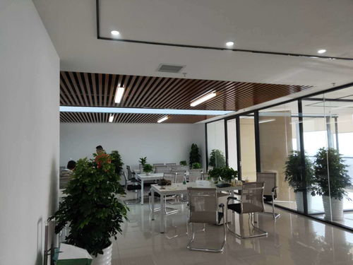 心所向，行至高——贺大城小屋昆明分公司盛大开业，开启房屋托管新篇章